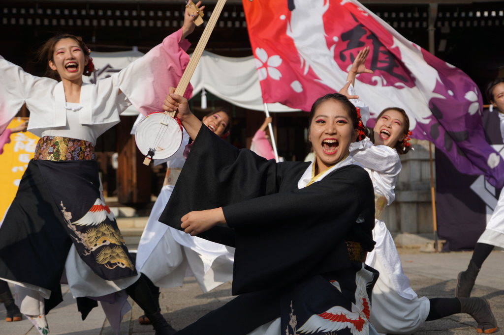 龍馬よさこい⑯