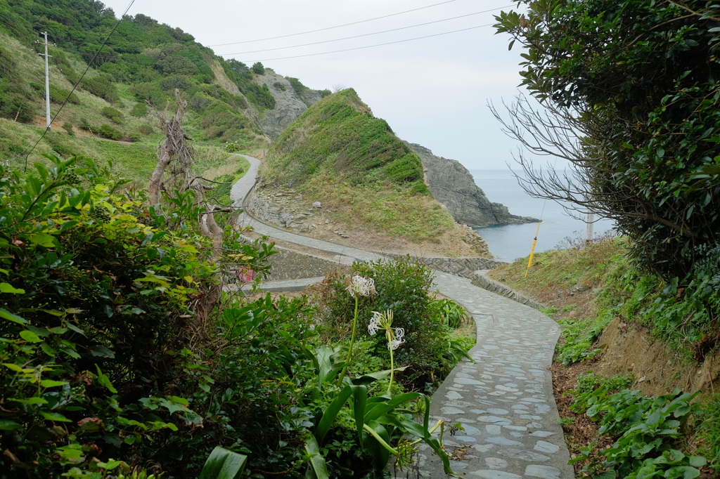 佐田岬灯台からの道