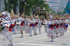 よさこい祭り2015in高知①