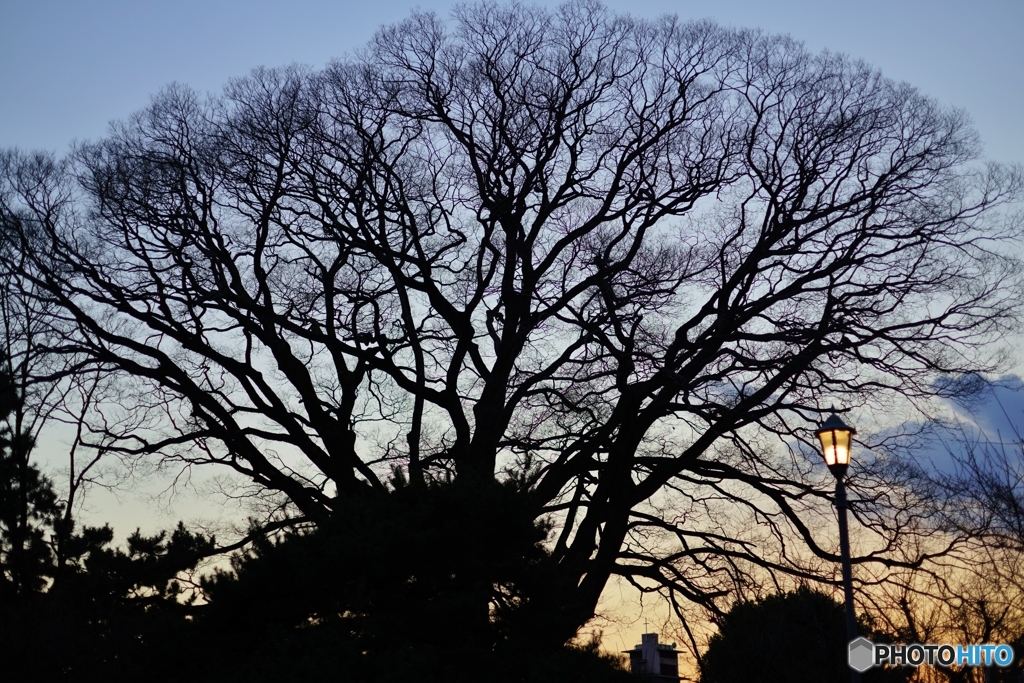 或る日の夕暮れ