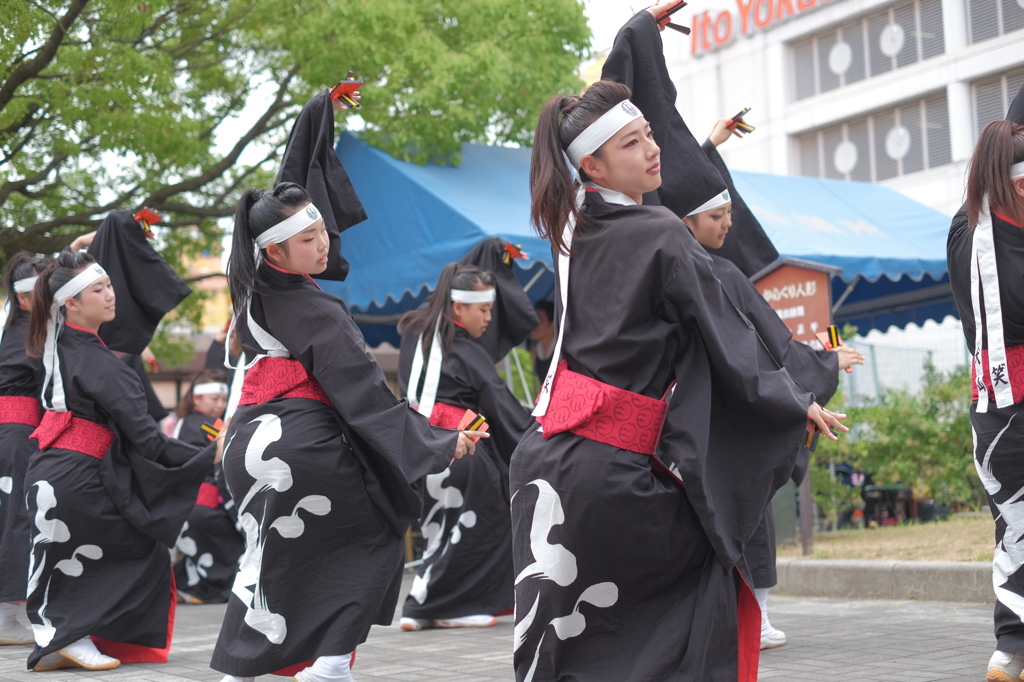 犬山踊芸祭2015⑫笑゛さん