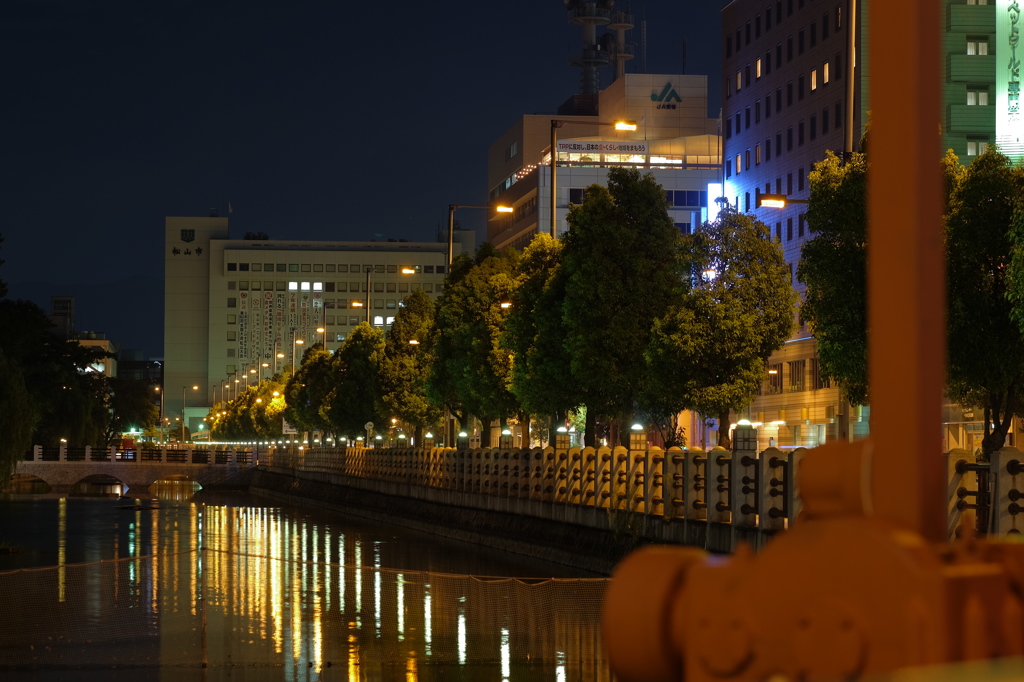 松山市　南堀端より市役所を望む