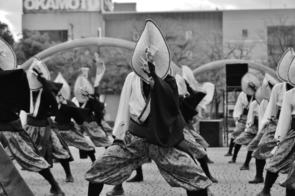 四日市よさこい祭り～やったろ舞～⑦かんしゃらさん