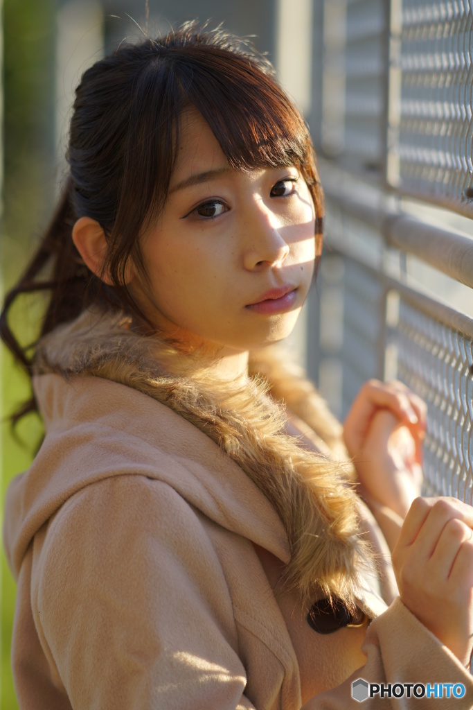 あやこさんとフェンス