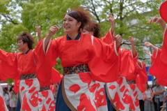 犬山踊芸祭⑱夜宵さん