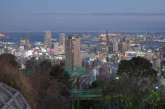 神戸夕景　諏訪山公園よりポートアイランド方向を望む