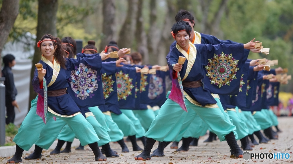 京都さくらよさこい⑤皇學館大學雅さん