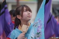 よさこい祭り2015in高知⑱