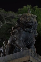 八坂神社　狛犬(新)左