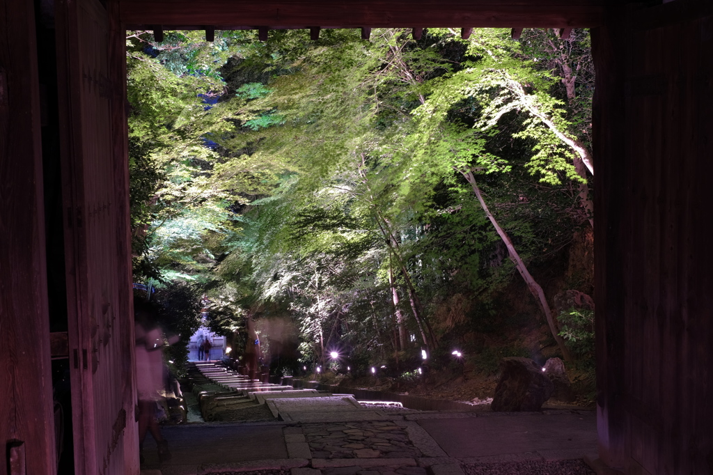 京都東山　高台寺 台所坂