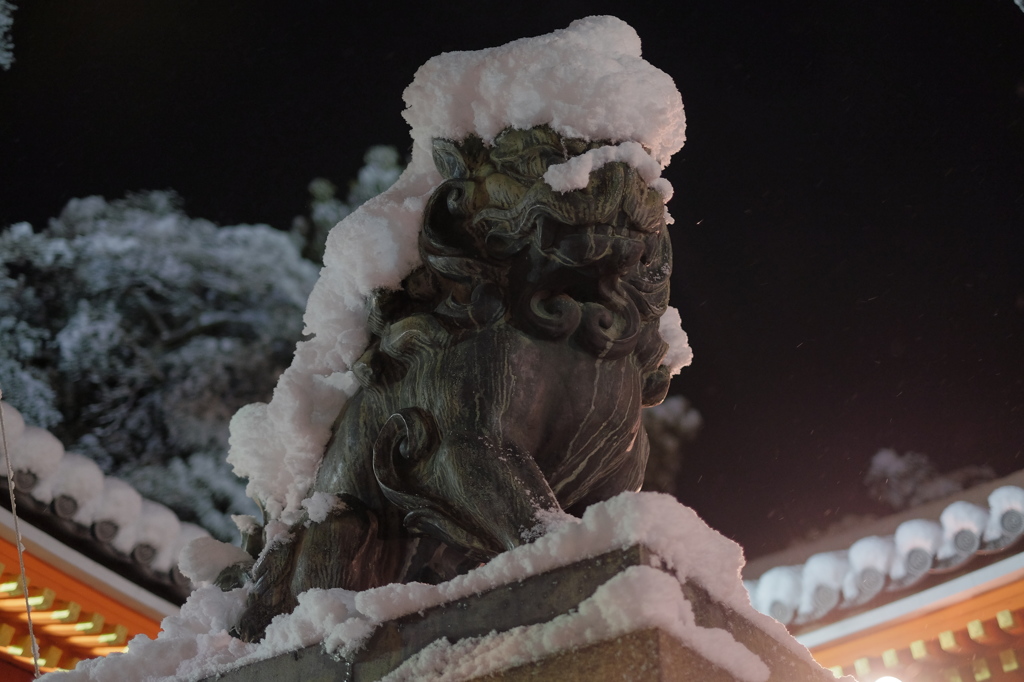 今年の初詣は・・・雪でした(ーー;)