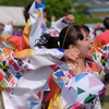 みやこ姫よさこい祭り⑰