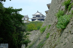 松山城太鼓櫓下より天守を望む
