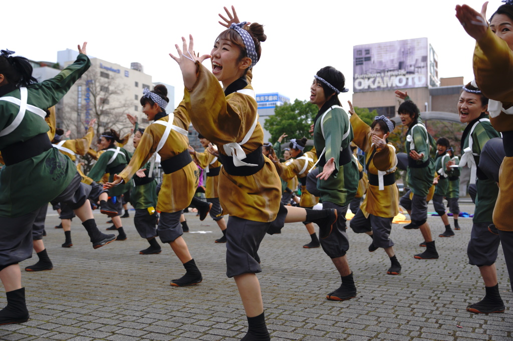 四日市よさこい祭り～やったろ舞～⑥祭舞WaiWaiさん