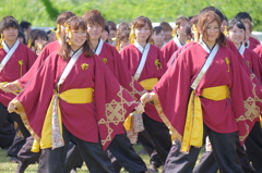 みやこ姫よさこい祭⑧