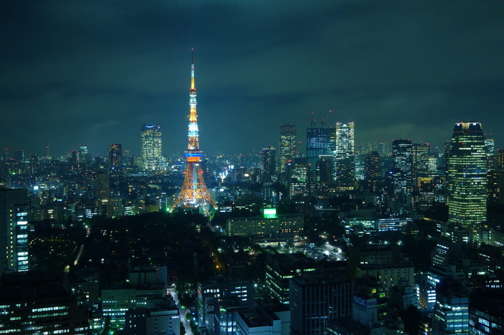 雨の東京夜景