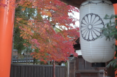 下鴨神社よ有難う