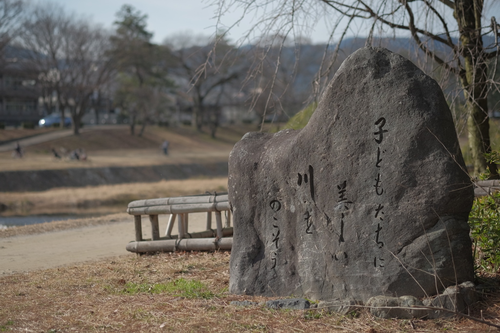 子どもたちに美しい川をのこそう