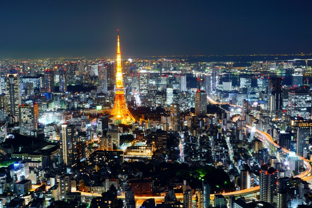 嗚呼、冬休み～⑳六本木ヒルズスカイデッキより東京タワー方向を望む