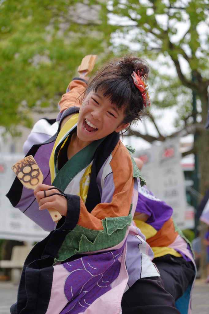 犬山踊芸祭⑯でらおおぶさん