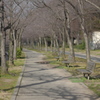 桜ノ宮の遊歩道