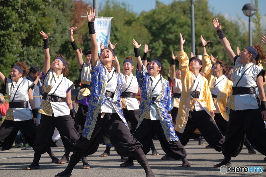 ゑぇじゃないか祭り⑤