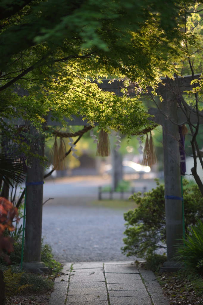 夕暮れ宗像神社