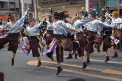 浜松がんこ祭り②おどりんちゅさん