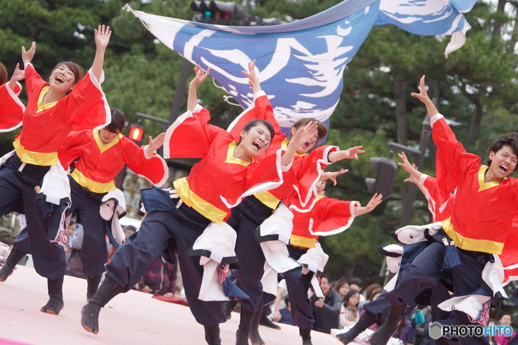さくよさ～神戸大学よさこいチーム山美鼓さん