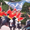 さくよさ～神戸大学よさこいチーム山美鼓さん