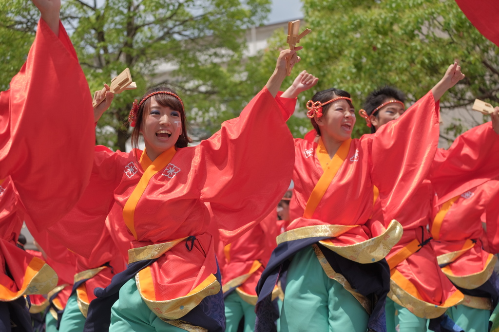 犬山踊芸祭⑲皇學館大學 雅さん2