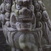 狛犬の主張