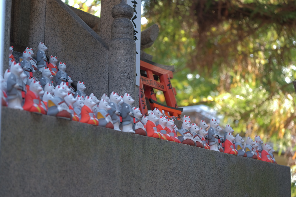 荒木神社の狐さん2