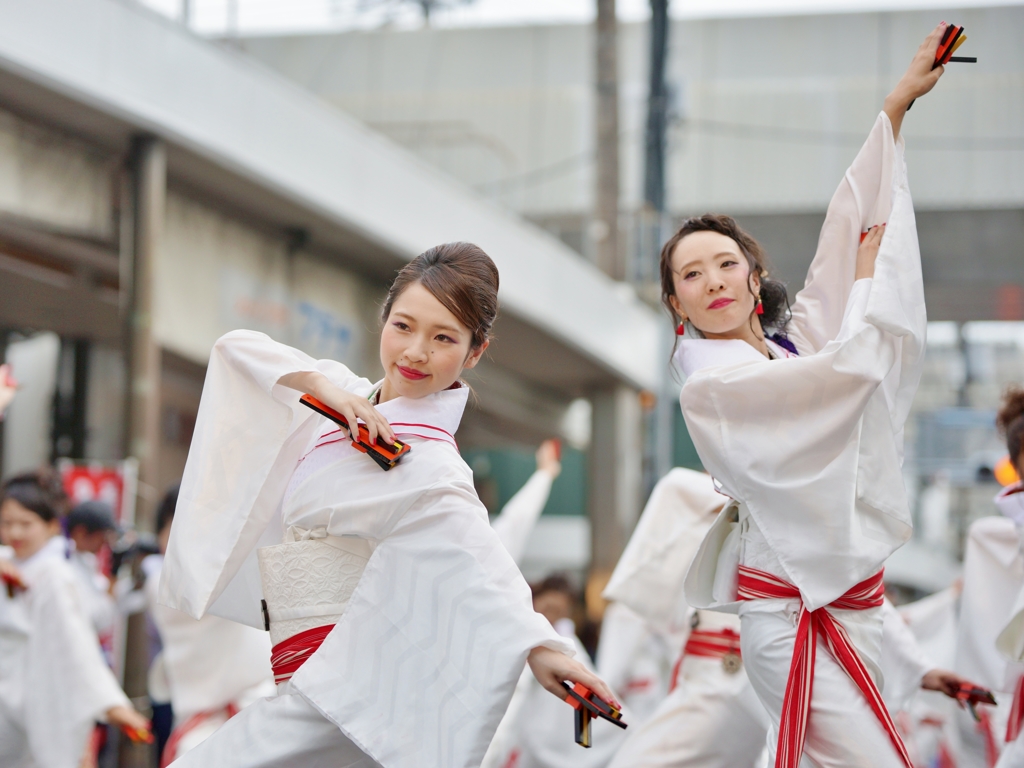 よさこい祭り2016⑫朱七さん