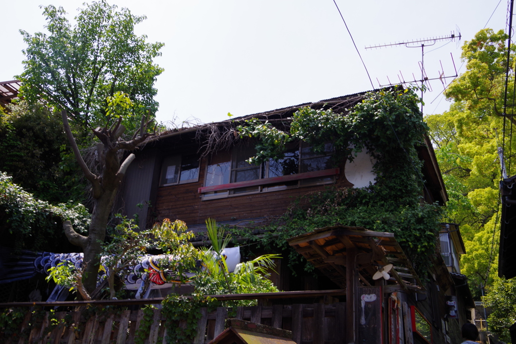 招き猫博物館