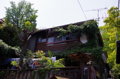 招き猫博物館