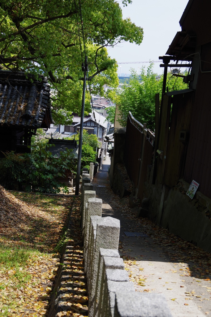 猫の細道からしまなみ海道撮ってみたニャー