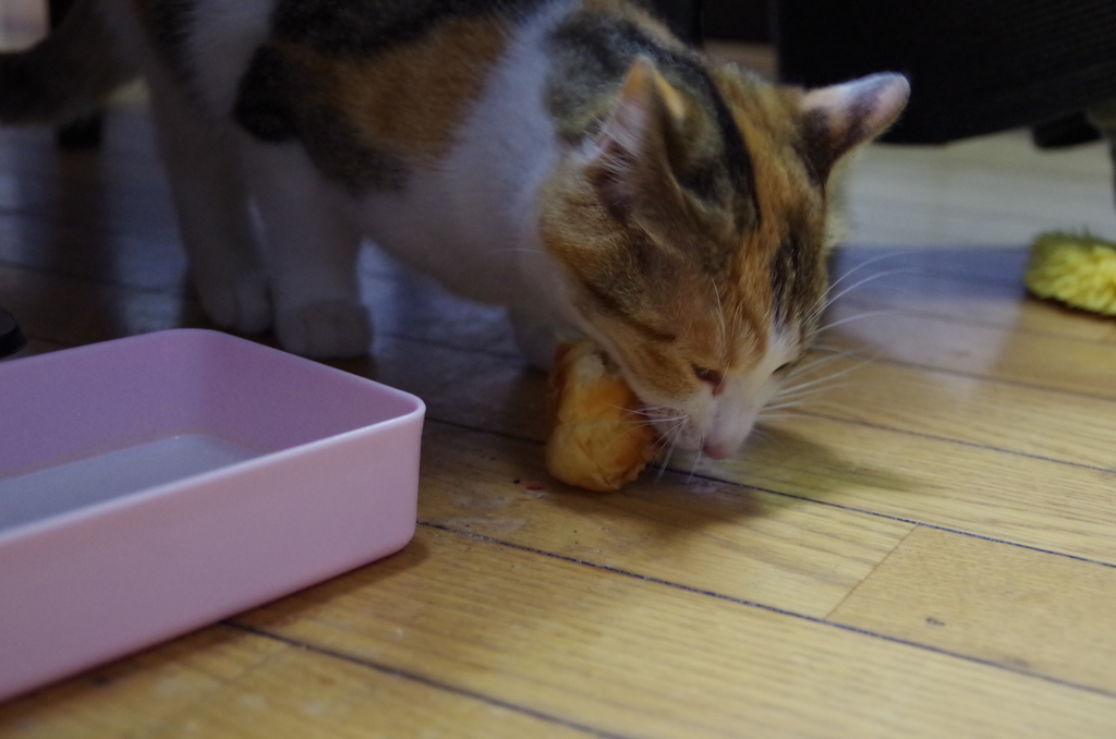育ちざかり