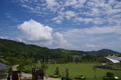すっかり夏ですね