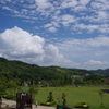 すっかり夏ですね