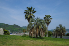夏気分！！