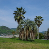 夏気分！！