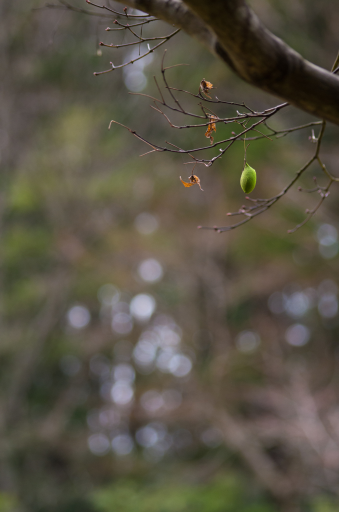 もうすぐ