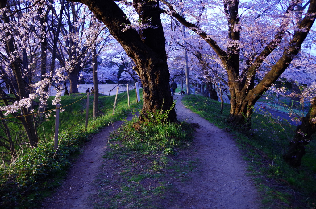 霞城公園05