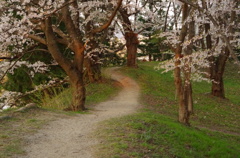 霞城公園03