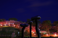 夜桜そっちのけ