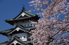 弘前桜まつり001
