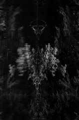 devil's portrait