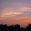 夕暮れ
