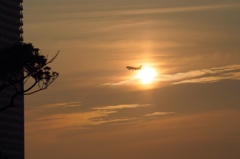 夕焼け飛行機